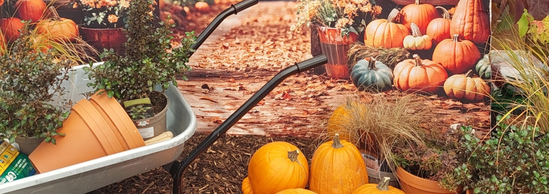 Welcome to Millbrook Garden Centres