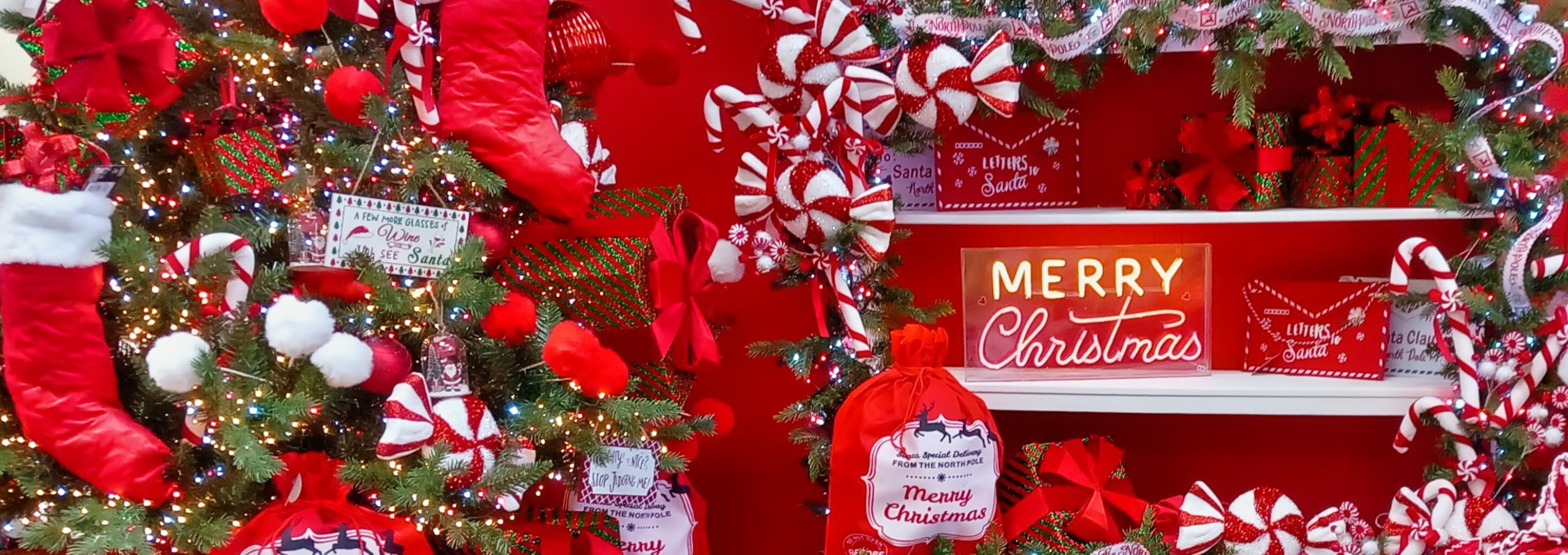 Welcome to Millbrook Garden Centres