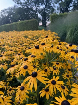 Autumn inspiration, Sussex Prairie Garden