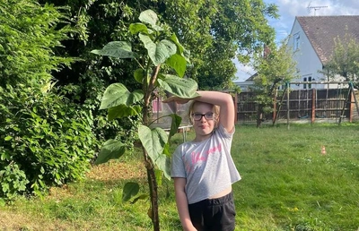 Growing Smiles! Your Sunflower Success