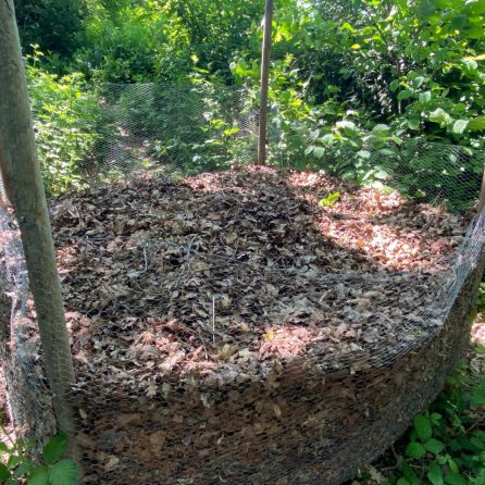 How to compost at home! - Millbrook Garden Centre